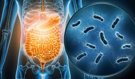 De virus a parásitos: conozca los factores culpables de la gastroenteritis y su impacto en la salud
