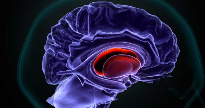 ¿Qué pasa durante la menopausia? Ciencia explica a detalle la biología de este proceso en el cuerpo