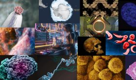 Los avances científicos más importantes del 2023 que marcaron la historia de la medicina 