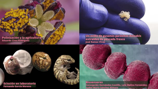 Fotogalería: Las mejores fotografías científicas del 2023 Fotogalería: Las mejores fotografías científicas del 2023