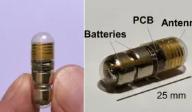 Crean píldora "VM Pill" para monitorear digitalmente signos vitales desde el interior del cuerpo