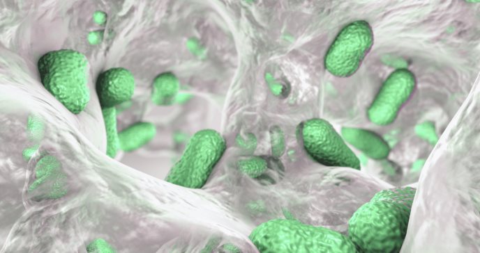 Zosurabalpina: Desarrollan nuevo fármaco potencial para tratar infecciones resistentes por A. baumannii