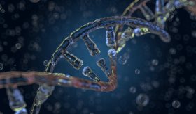 Científicos crean interruptor que activa o desactiva genes de manera controlada en la terapia genética