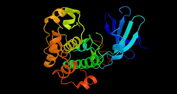 ‘Canibalismo’ celular y proteínas Rac destructoras como potencial enfoque para tratamientos contra cáncer