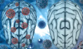 Estudio revela que jóvenes son más neuróticos a causa de la pandemia por altos niveles de ansiedad