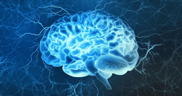 Separación entre humanos y mascotas tiene impacto negativo en la salud mental según investigación