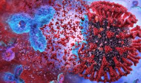 Desarrollan anticuerpo que neutraliza todas las variantes del SARS-CoV-2