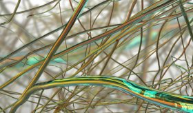 Vendaje de algodón con nanofibra antibacterial de compuesto en hojas de henna sana heridas más rápido