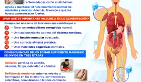 El magnesio en el cuerpo | Infografía