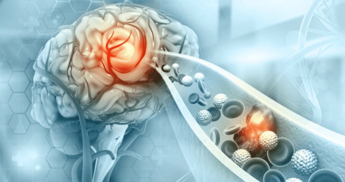 Exceso de vitamina B3 o niacina se asocia con un mayor riesgo de enfermedad cardíaca e infarto