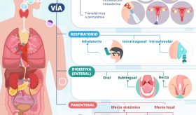 Vías de administración | Infografía