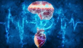 Esquizofrenia estaría vinculada a un mayor riesgo de enfermedades cardiovasculares como fibrilación atrial