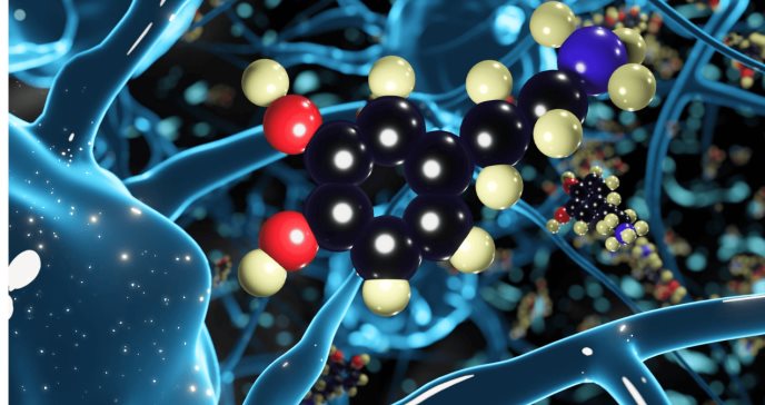Deficiencia de vitamina D materna impacta neuronas dopaminérgicas y aumentaría riesgo de esquizofrenia