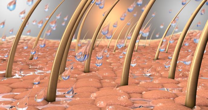 Aumentan problemas capilares luego de la menopausia y alopecia afecta a 1 de cada 4 mujeres