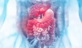 ¿Por qué el cuerpo está perdiendo la capacidad de digerir algunos alimentos por vivir en entornos urbanos?