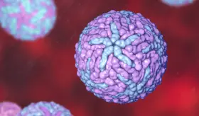 Dengue y los síntomas de sus 4 serotipos: desde sarpullidos, intenso dolor muscular hasta  hemorragias