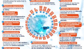 Enfermedades causadas por mutaciones de genes | Infografía