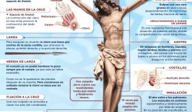 Crucifixión de Jesús vista desde la medicina | Infografía