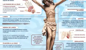Crucifixión de Jesús vista desde la medicina | Infografía