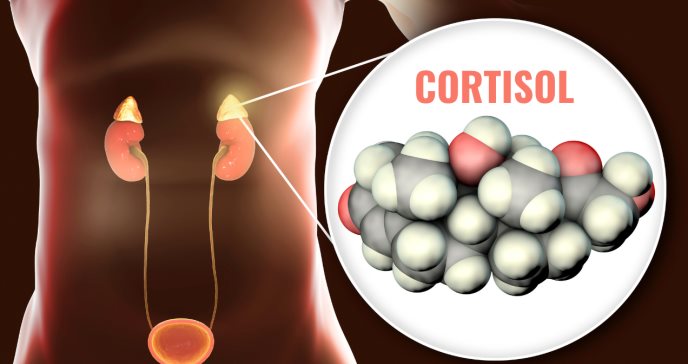 Omega-3, vitaminas y nutrientes como complejo B ayudan a reducir los niveles de cortisol en el cuerpo