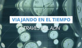 Viajando en el tiempo a través del ADN: ¿Cómo funcionan las pruebas de ascendencia genética? - #MSP