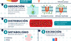Farmacocinética | Infografía
