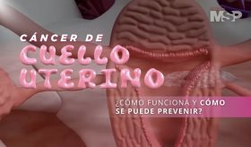 Cáncer de Cuello Uterino: ¿Cómo funciona y cómo se puede prevenir? - #EspecialMSP