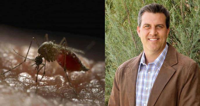 “Si no causaran tanto sufrimiento, quizás admiraríamos a los mosquitos”: Timothy Winegard