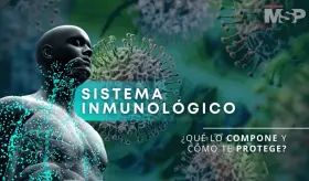 Sistema inmunológico: ¿Qué lo compone y cómo te protege? - #EspecialMSP