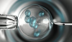 ¿Embrión creado con ADN celular de piel y espermatozoide permitiría la procreación de hijos entre 2 hombres?