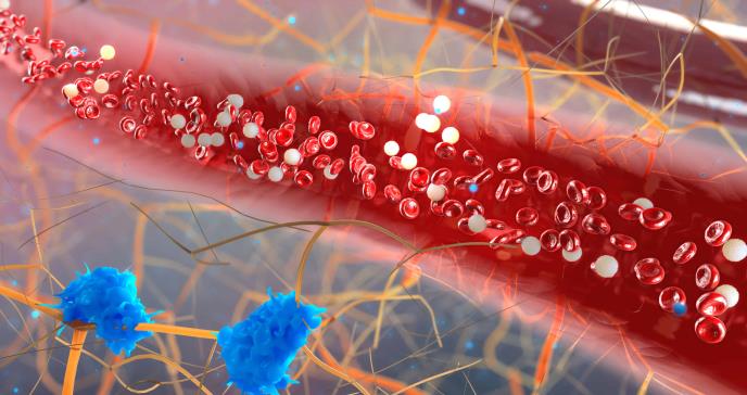 Bacteria intestinal transforma glóbulos rojos de tipo A y B en tipo O, el grupo sanguíneo más compatible