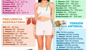 Valores normales de los signos vitales | Infografía