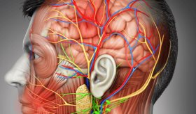 La poco conocida conexión entre la salud oral y condiciones de salud mental como la esquizofrenia