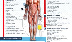 Examen clínico del paciente crítico | Infografía