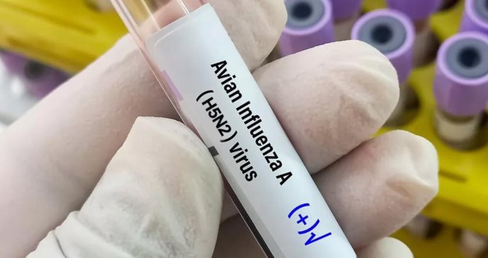 Gobierno de México y OMS confirman la primera muerte humana por gripe aviar