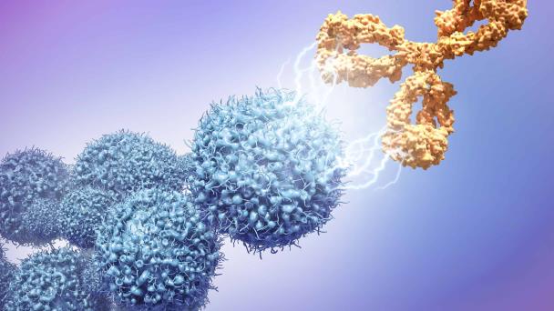 Anticuerpo muestra resultados positivos en el tratamiento de la Esclerosis Múltiple Anticuerpo muestra resultados positivos en el tratamiento de la Esclerosis Múltiple