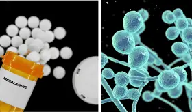 Fármaco podría reemplazar a las bacterias beneficiosas en la lucha contra el hongo Candida Albicans