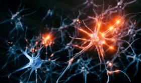 El cerebro podría almacenar casi 10 veces más información de la que se pensaba