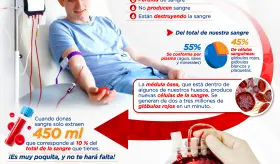 Día mundial ¿Qué pasa en nuestro cuerpo cuando donamos sangre? | Infografía