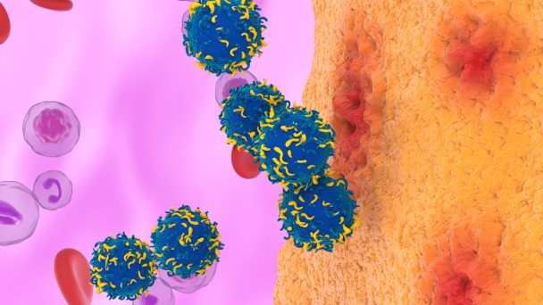 Terapia ‘treat to target’ logra facilitar el embarazo en mujeres con artritis reumatoide Terapia ‘treat to target’ logra facilitar el embarazo en mujeres con artritis reumatoide