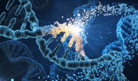 Descubren una causa genética de la colitis ulcerosa y Crohn en un punto "débil" del ADN de pacientes