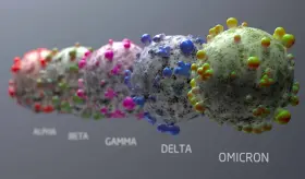 &iquest;Mayor contagio y evasi&oacute;n de la inmunidad? Qu&eacute; sucede con FLiRT, la nueva variante del COVID-19