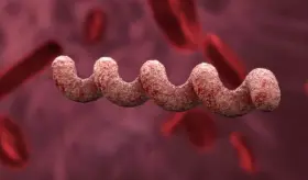 ¿Qué son las troponinas y por qué mantenerlas bajo control es necesario para la salud de nuestro corazón?