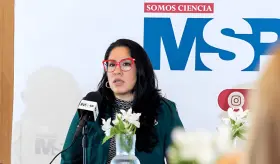 Salud mental en Puerto Rico: ¿Por qué puede buscar otro servicio profesional si no hay disponibilidad?