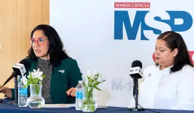 Criterios para la selección de terapia en pacientes diabéticos