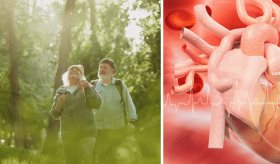 Exposición a áreas verdes beneficiaría la salud cardiovascular de personas mayores según estudio