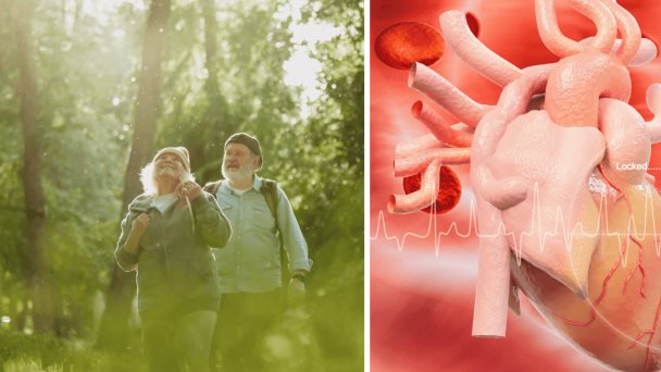 Exposición a áreas verdes beneficiaría la salud cardiovascular de personas mayores según estudio Exposición a áreas verdes beneficiaría la salud cardiovascular de personas mayores según estudio