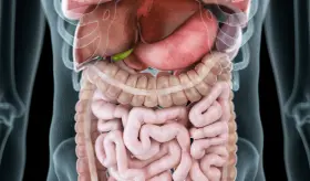 Situs Inversus: ¿Qué ocurre en el cuerpo cuando tenemos algunos órganos en el lugar equivocado?