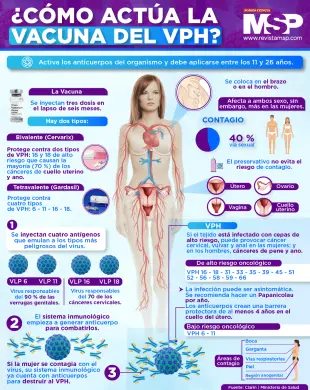 Infografia