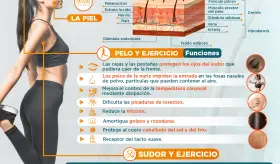 La importancia del pelo durante el ejercicio